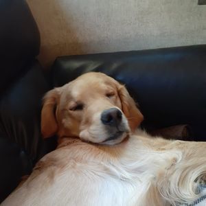 Meet your Posher, Dylan